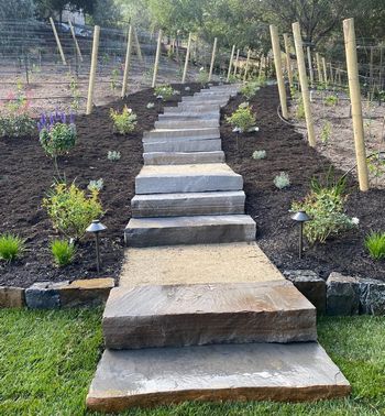 Recent Projects