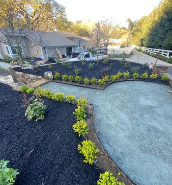Recent Projects